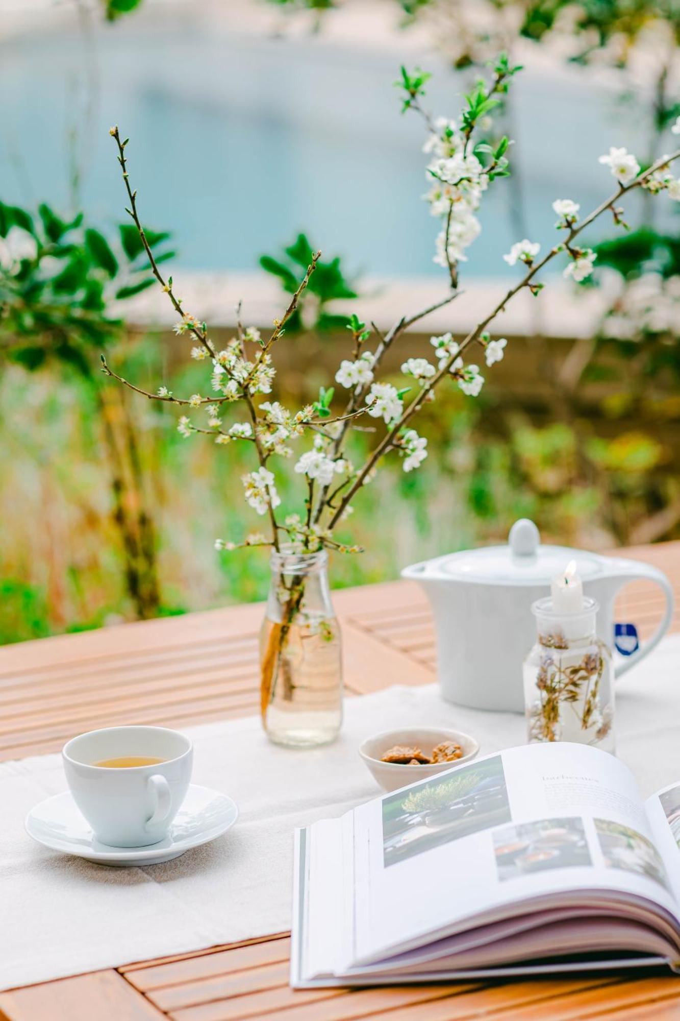 The Nest By Cooking And Nature ألفادوس المظهر الخارجي الصورة
