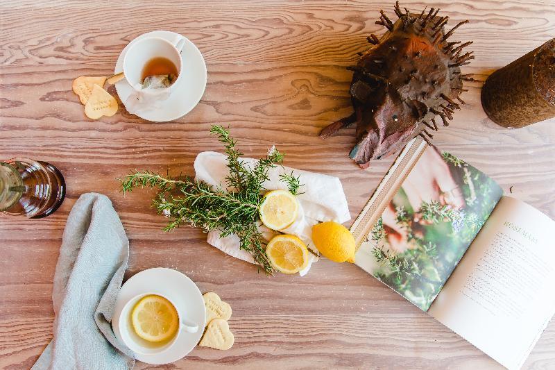 The Nest By Cooking And Nature ألفادوس المظهر الخارجي الصورة